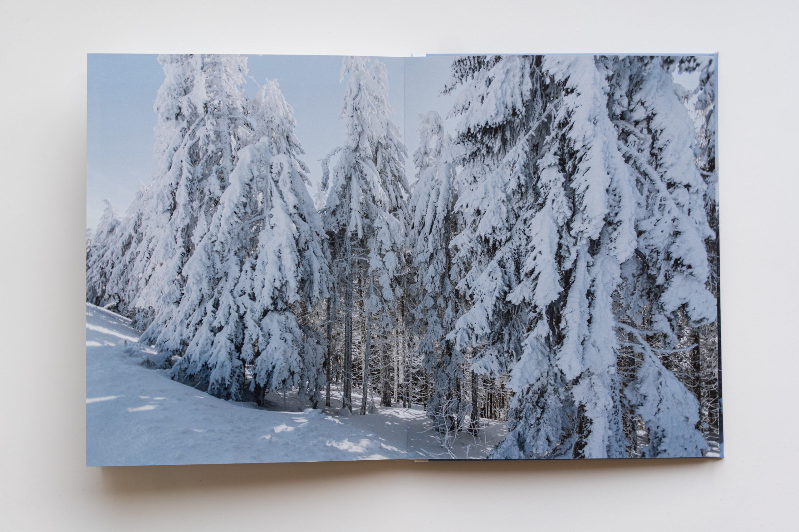 Fotobuch Winter Schwarzwald